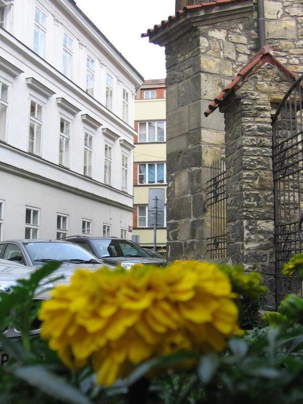 Ragtime Hostel Prague Ngoại thất bức ảnh